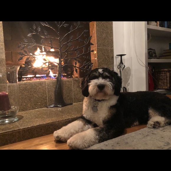 Meet your Posher, Trish - Picture 1 of 1